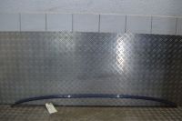 Dachzierleiste links <br>BMW ALPINA B10 5 (E39) 3.2