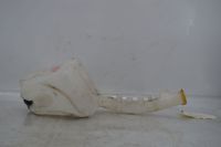 Beh�lter Scheinwerferwaschanlage Wischwasserbeh�lter<br>MAZDA 2 (DY) 1.4