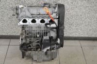 Motor ohne Anbauteile (Benzin) <br>VW GOLF IV (1J1) 1.4 16V