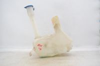 Beh�lter Scheibenwaschanlage <br>JAGUAR S-TYPE CCX 2.7 D