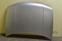 Motorhaube <br>VW GOLF IV (1J1) 1.4 16V