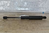 Heckklappend�mpfer links <br>MERCEDES-BENZ S-KLASSE (W221) S 350