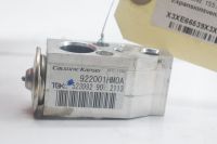 Expansionsventil f�r Klimaanlage <br>NISSAN MICRA IV K13 1.2